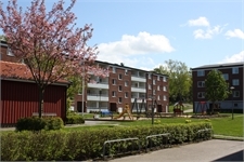 Image missing alt text