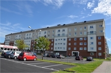 Image missing alt text