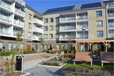 Image missing alt text