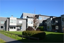 Image missing alt text