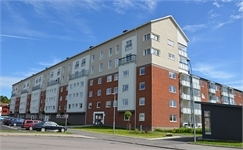 Image missing alt text